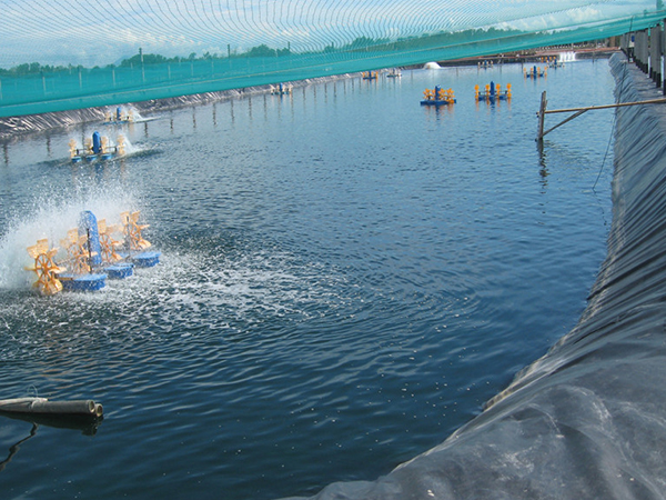 哪些優(yōu)勢是促進水產(chǎn)養(yǎng)殖膜使用的關(guān)鍵點？