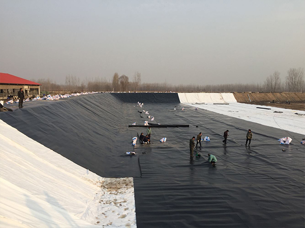 選購防滲土工膜的問題詳解 選購防滲土工膜的問題詳解