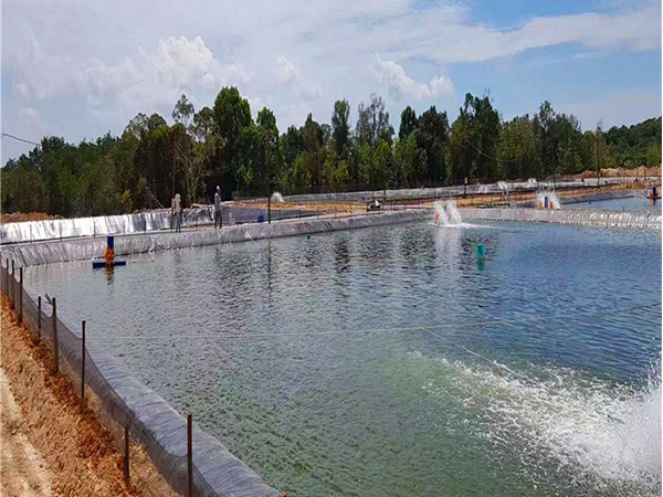 魚塘建設(shè)使用防滲土工膜益處多多 魚塘建設(shè)使用防滲土工膜益處多多