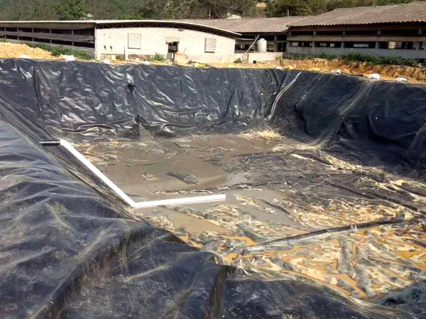 選擇魚塘防滲膜可參考哪幾點因素？
