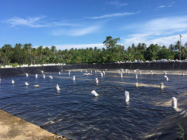 確保防滲膜的化學(xué)性質(zhì)穩(wěn)定性至關(guān)重要。