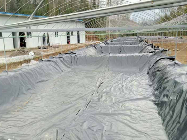 魚塘防滲土工膜使用優(yōu)勢都有哪些？