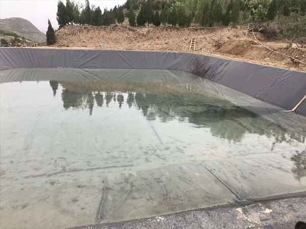 水產(chǎn)土工膜在藕池建設(shè)中充當(dāng)怎樣的角色？