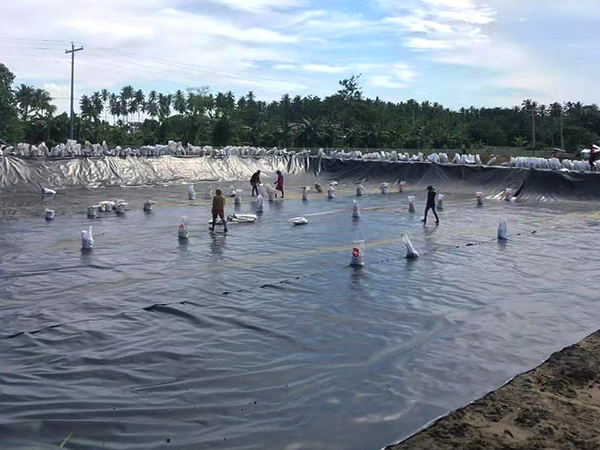 冬季該如何進(jìn)行養(yǎng)殖防滲膜的鋪設(shè)？