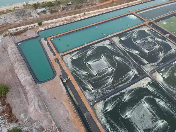 養(yǎng)殖防滲膜為何被廣泛應(yīng)用于養(yǎng)殖業(yè)？