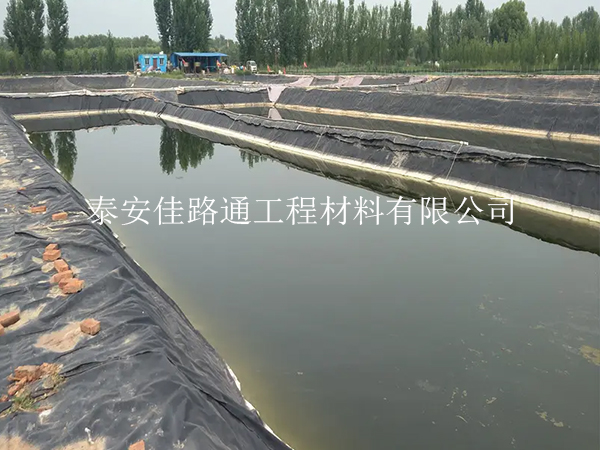 養(yǎng)殖防滲膜：魚蝦養(yǎng)殖的綠色守護者，創(chuàng)新助力水產(chǎn)繁榮