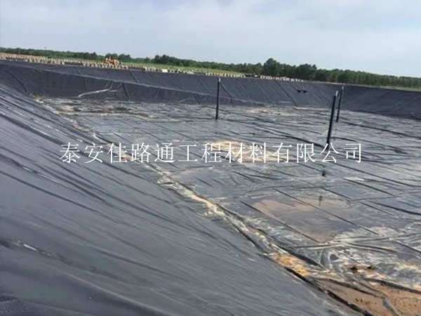 養(yǎng)殖防滲膜鋪設(shè)：挑戰(zhàn)與解決方案，打造綠色高效養(yǎng)殖新篇章