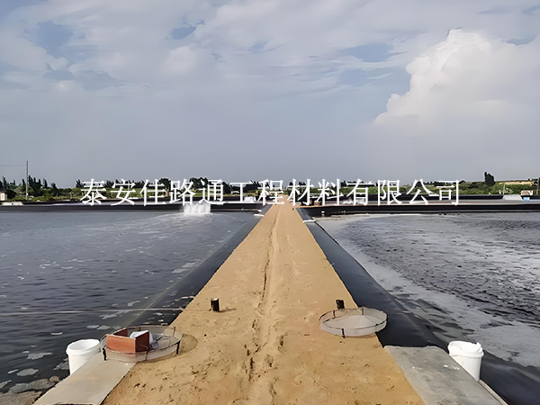 水產(chǎn)養(yǎng)殖防滲膜錨固施工方法:簡單新穎的實(shí)踐指南 水產(chǎn)養(yǎng)殖防滲膜錨固施工方法:簡單新穎的實(shí)踐指南