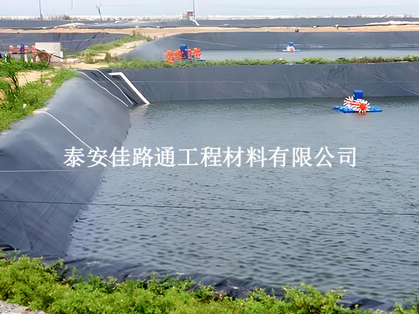 魚塘防滲膜:對魚兒生長的微妙影響 魚塘防滲膜:對魚兒生長的微妙影響