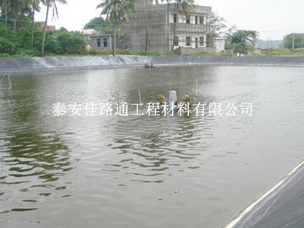 防滲土工膜:氧化塘施工建設的綠色守護者 防滲土工膜:氧化塘施工建設的綠色守護者