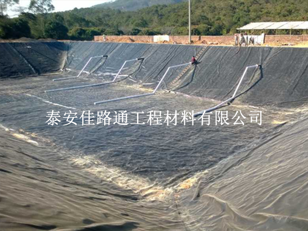 水產(chǎn)養(yǎng)殖防滲膜鋪設(shè)施工技巧：精準(zhǔn)高效，守護(hù)養(yǎng)殖綠洲