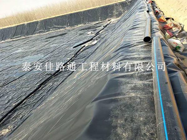 藕池防滲膜怕破損？回填保護(hù)方法學(xué)起來(lái)