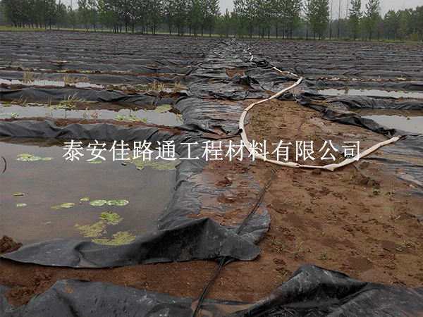 養(yǎng)殖防滲膜養(yǎng)護(hù)別大意，這些方法延長壽命